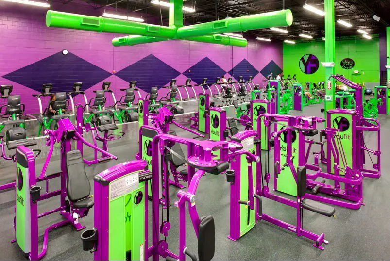 Exercise equipment painted purple and green in a violet and green-painted gym